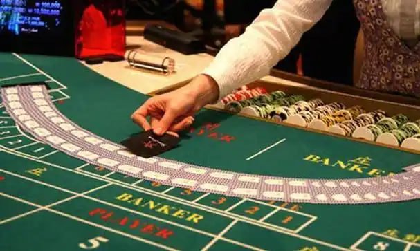 tpp bet
